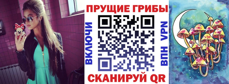 mega онион  Южно-Сахалинск  Галлюциногенные грибы прущие грибы 