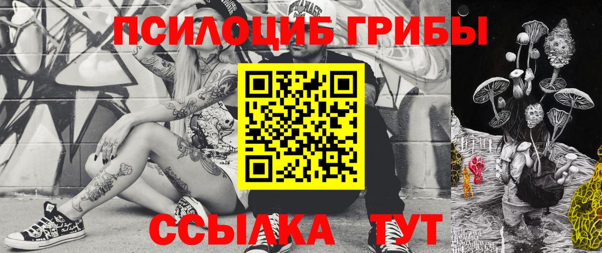 Южно-Сахалинск  Псилоцибиновые грибы GOLDEN TEACHER  Вход с VPN 