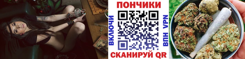 магазин продажи наркотиков  Южно-Сахалинск  Канабис сатива 